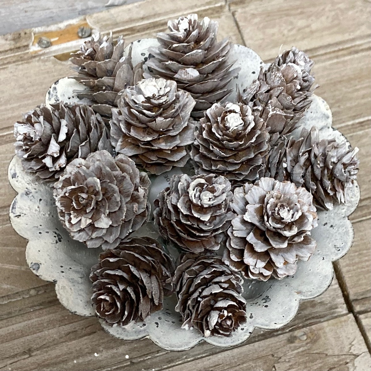 Snow Dust Pinecone Small Candle Ring