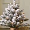 SNOWY WINTER WHISPER TREE WITH LIGHTS SNOWY WINTER WHISPER TREE WITH LIGHTS