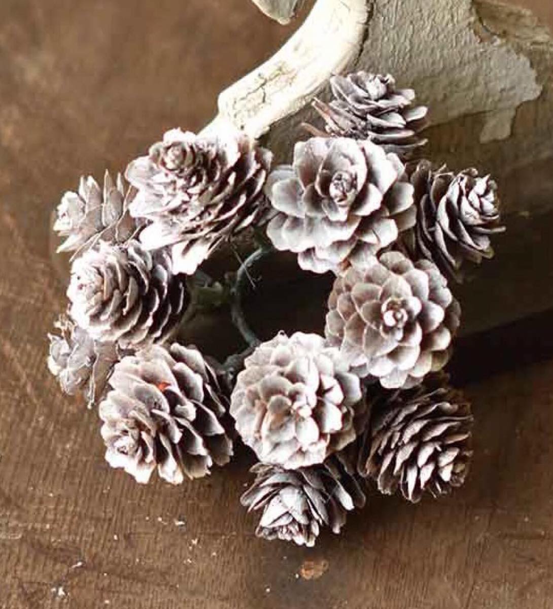 Snow Dust Pinecone Small Candle Ring