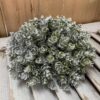 Frost Gleam Hops Greenery Half Sphere Frost Gleam Hops Faux Greenery Half Sphere