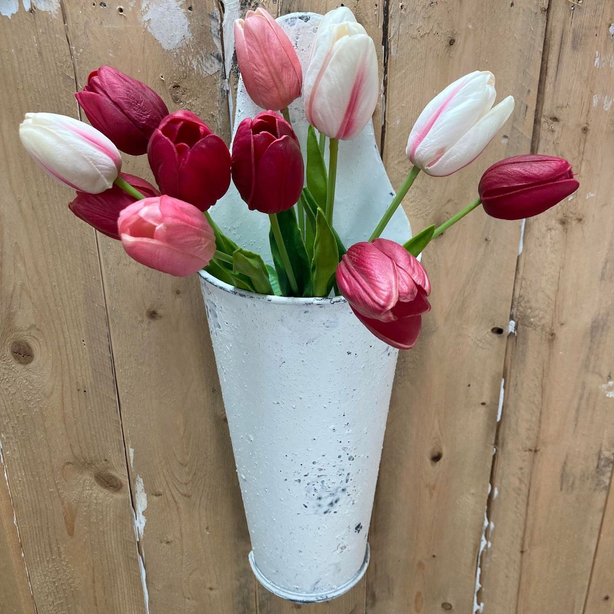 Magenta and Pink Tulips