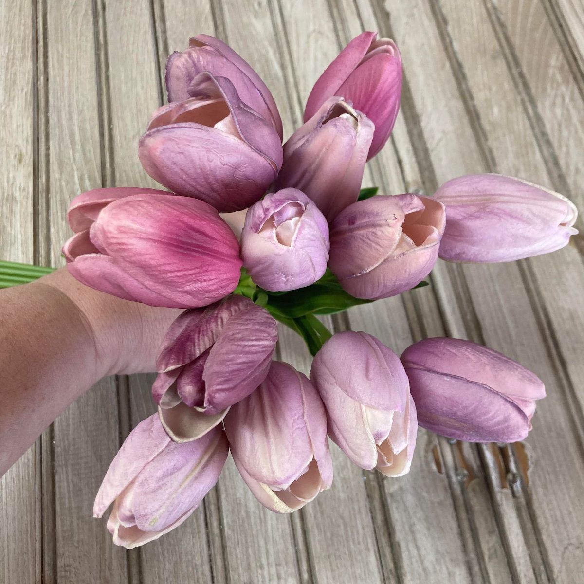 Purple Tulip Bunch