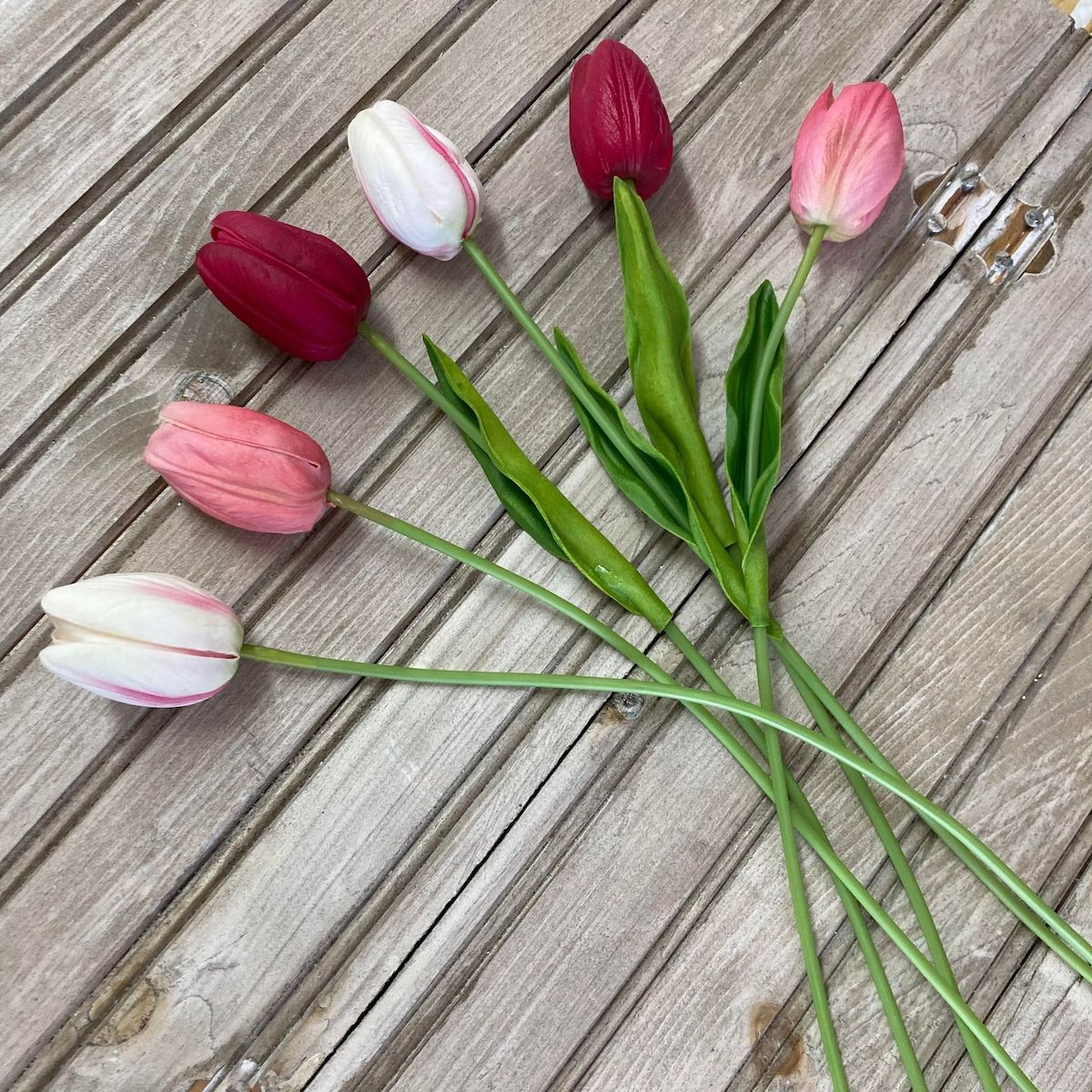 Pink and Magenta Tulips