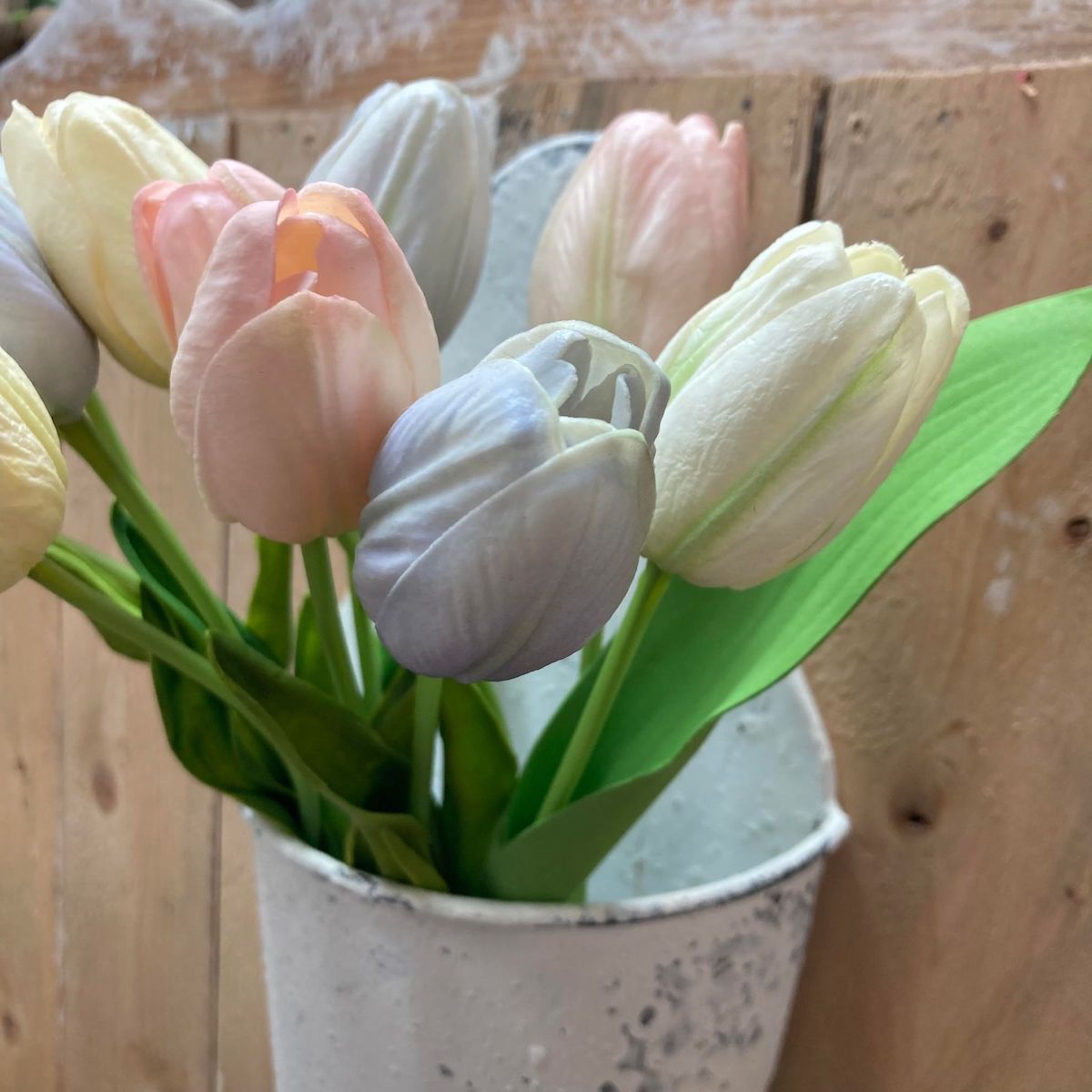 Spring Pastel Tulips