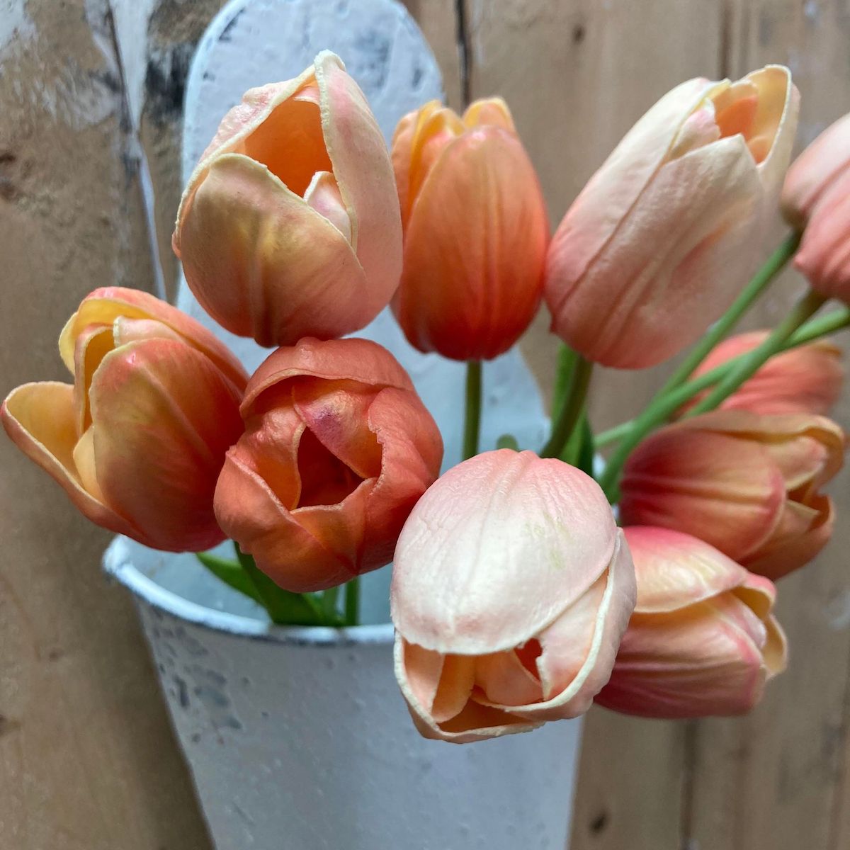 Orange and Peach Tulips