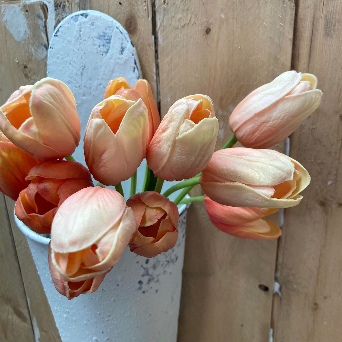 Peach, Salmon and Orange Tulips