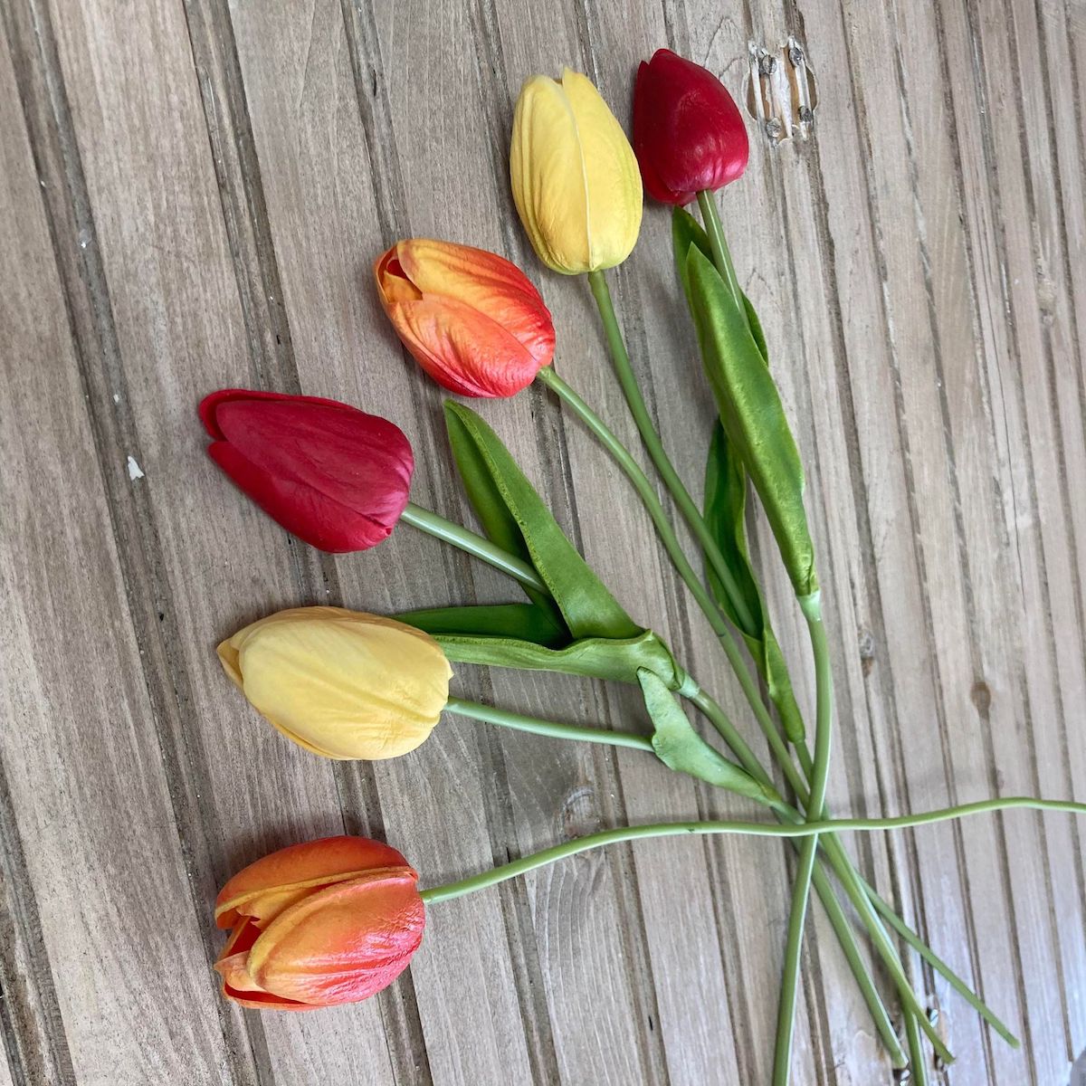 Assorted Broght Tulips