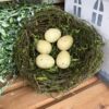 Moss Twined Bird Nest With Eggs Moss Twined Bird Nest With Eggs