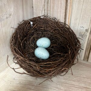 Bird Nest with 2 Blue Eggs