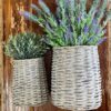 Lavender Meadow Spray (19”) Lavender Meadow Spray (19”)
