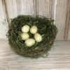 Moss Twined Bird Nest With Eggs Moss Twined Bird Nest With Eggs