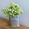 Gathered Garden Cream White Stem Bush