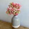 Andromedia Gathered Garden Blush Pink Stem Bush Gathered Garden Blush Pink Stem Bush
