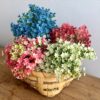 Andromeda Gathered Garden Stem Bushes Andromeda Gathered Garden Stem Bushes
