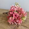 Andromedia Gathered Garden Blush Pink Stem Bush Gathered Garden Blush Pink Stem Bush