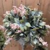 Heirloom Blush Berry Half Sphere in Aged Patina Cream Apolla Vessel Heirloom Blush Berry Half Sphere in Aged Patina Cream Apolla Vessel