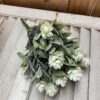 Aylesford White Blooms and Greenery Bush