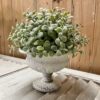 Cream Chippy Curvy Holder with Greenery