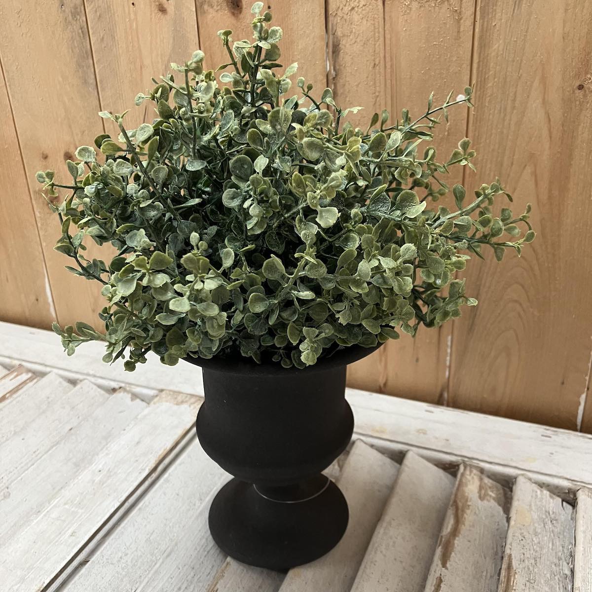 Matte Black Small Decorative Urn with Baby's Twilight Half Sphere Greenery
