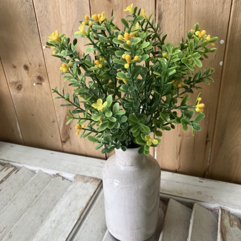 Jonabelle Greenery with Yellow Blooms Small Bush