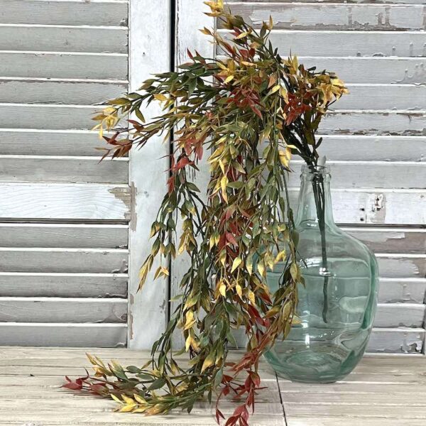Velvet Ash Fall Hanging Foliage Velvet Ash Fall Hanging Foliage