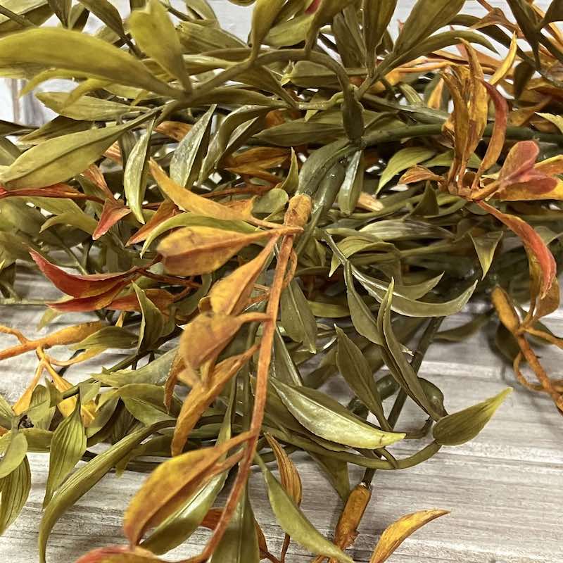 Smilax Shade Autumn Foliage Close up