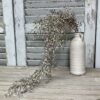 Luna Brown Medium Hanging Foliage Luna Brown Medium Hanging Foliage