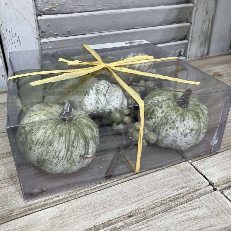 Harvest Mini Pumpkins Box Set