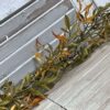 Smilax Shade Autumn Foliage Garland Smilax Shade Autumn Foliage Garland