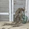 Luna Brown Large Hanging Foliage in Demijohn Vase Luna Brown Large Hanging Foliage in Demijohn Vase