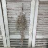 Luna Brown Medium Hanging Foliage