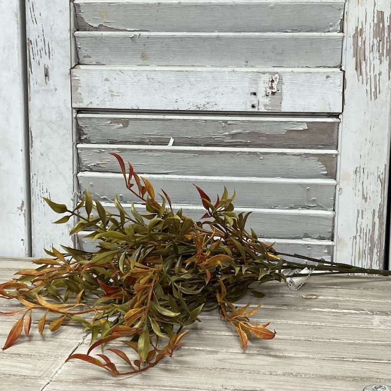 Smilax Shade Autumn Foliage Bush