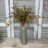 Smilax Shade Autumn Foliage Bush Smilax Shade Autumn Foliage Bush