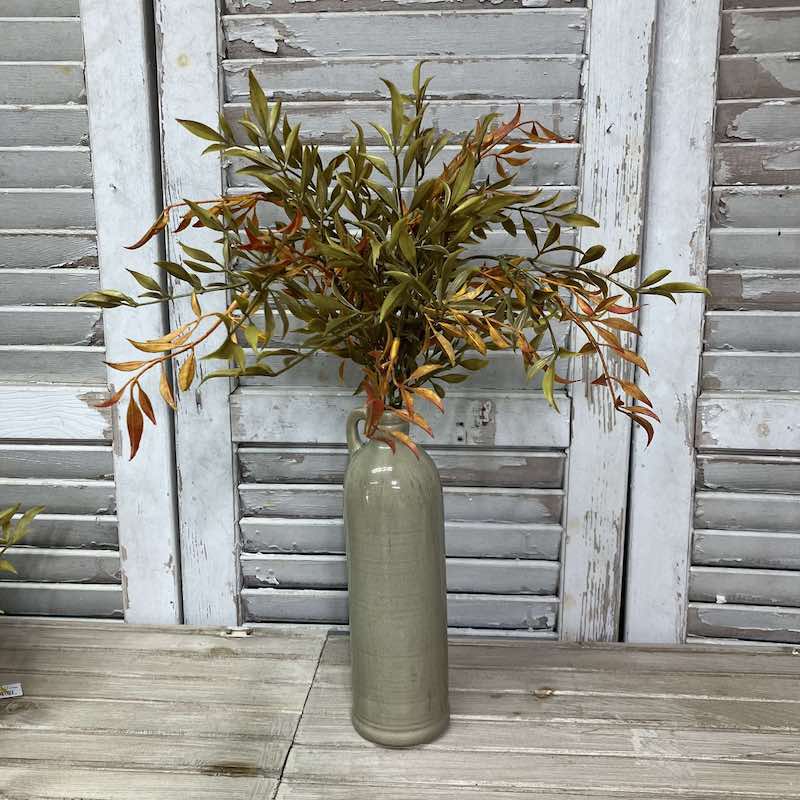 Smilax Shade Autumn Foliage Bush