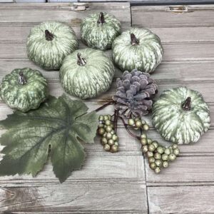 Harvest Mini Pumpkins Decorative Set