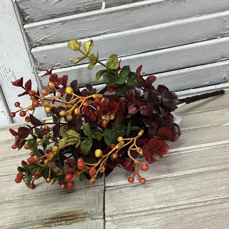 Eucalyptus Fall Berry Medium Bush