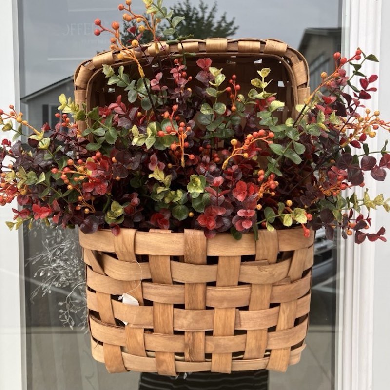 Eucalyptus Fall Berry Larges Bushes in Pocket Basket