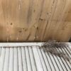 Little Luna Rusty Brown Faux Foliage Spray