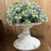 Aged Patina Cream Atessa Decorative Pedestal with Lavender and Boxwood Greenery Aged Patina Cream Atessa Decorative Pedestal with Lavender and Boxwood Greenery