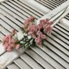 Queens Lace Pink Flowers on tall Green Stems