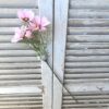 Tall Pink Cosmo Floral Stems Tall Pink Cosmo Floral Stems