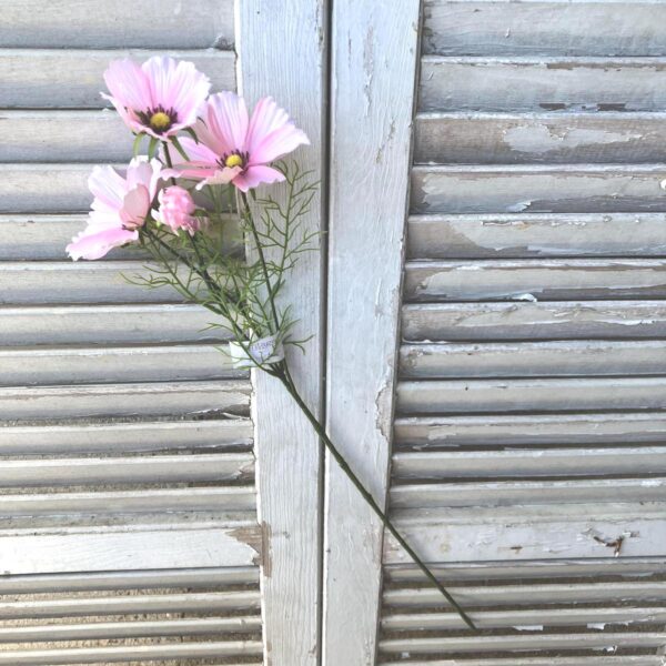 Tall Pink Cosmo Floral Stems Tall Pink Cosmo Floral Stems