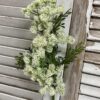 Queens Lace Cream Flowers on tall Green Stems