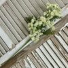 Queens Lace Cream Flowers on tall Green Stems