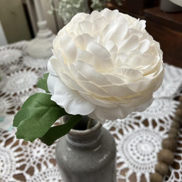 White Peony Stem White Peony Stem