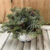 Siberian Cypress and Berries Greenery Half Sphere Siberian Cypress and Berries Faux Greenery Half Sphere