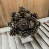 Shimmer Pine Cone Half Sphere
