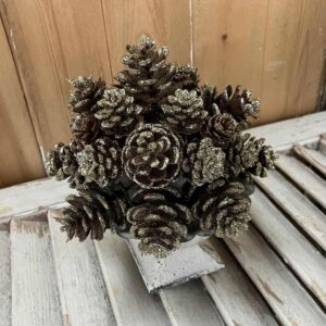 Shimmer Pine Cone Half Sphere