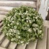 Elfin White Blooms and Greenery Half Sphere Elfin White Blooms and Greenery Half Sphere
