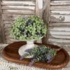 Heirloom Lavender Sage & Boxwood Half Sphere and Drop Heirloom Lavender Sage & Boxwood Half Sphere and Drop